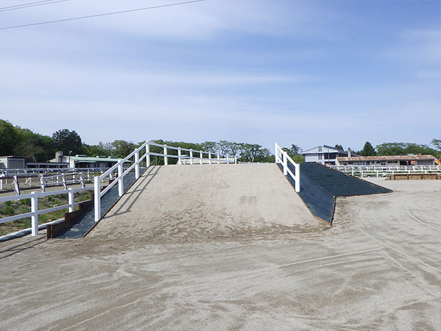 いちご一会とちぎ国体馬術競技ダービーコース設営等