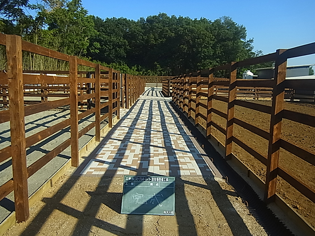 放牧場整備工事